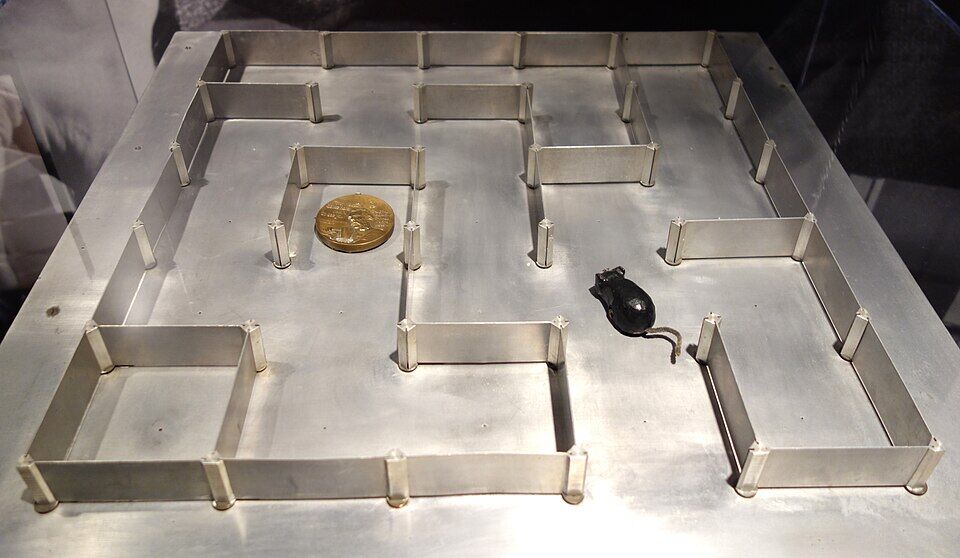Plateau métallique carré portant un labyrinthe de cloisons d'aluminium ; une petite souris mécanique noire est posée dans un couloir, et une médaille dorée figure le fromage.
