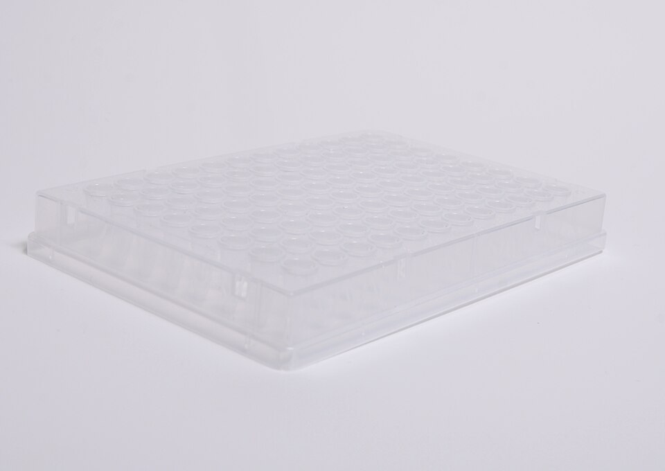 Plaque de plastique transparente percée de 96 petits puits disposés en 8 lignes et 12 colonnes.